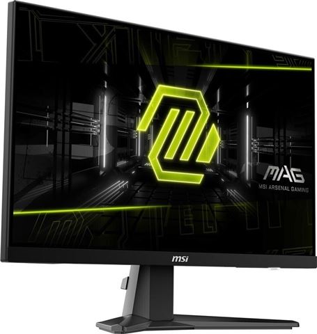 MSI MON 25 MAG 256F E20