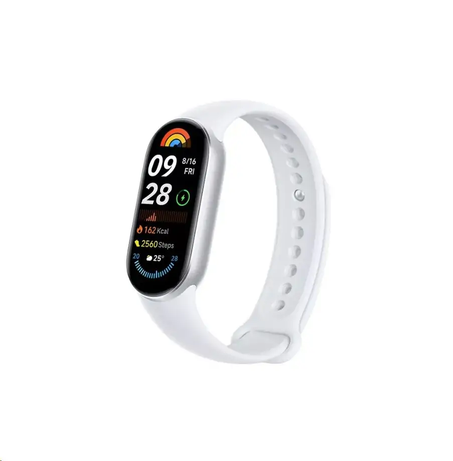 Smart watch XIAOMI Mi Band 9 Glacier Silver