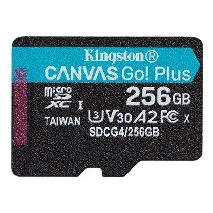 MEM SD MICRO 256GB Canvas Go! Plus SDCG4/256GBSP