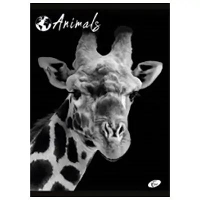 Teka Meka Uvez A4 Karo 40+2L Animal Elis