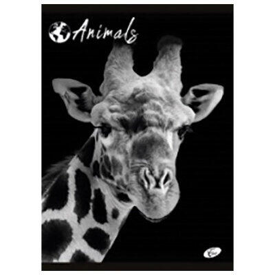 Teka Meka Uvez A4 Karo 40+2L Animal Elis