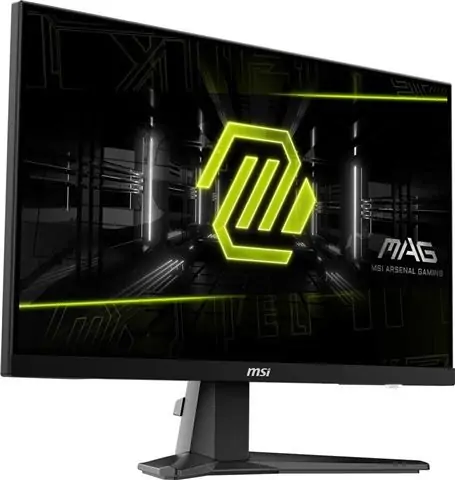 MON 25 MSI MAG 256F E20