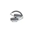 Slušalice+mikrofon PANASONIC RB-HX220BDES naglavne - srebrna