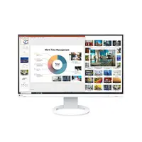 MON 24 EIZO EV2460-WT IPS