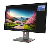 Lenovo P32UD-40 UHD IPS, HDMI, DP, T-Bolt, pivot Lenovo P32UD-40 UHD IPS, HDMI, DP, T-Bolt, pivot