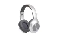 Slušalice+mikrofon PANASONIC RB-HX220BDES naglavne - srebrna